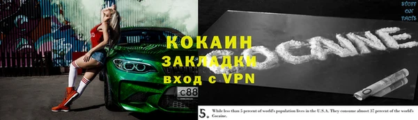 дживик Белокуриха
