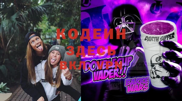 дживик Белокуриха