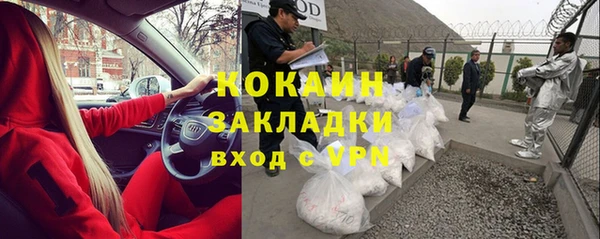 гашик Бикин