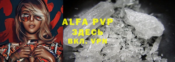 дживик Белокуриха