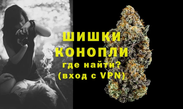 дживик Белокуриха