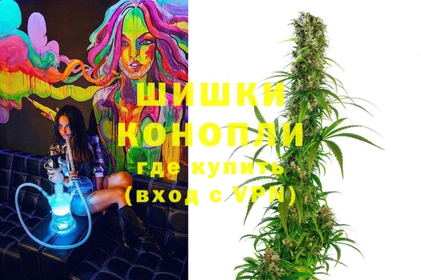 дживик Белокуриха