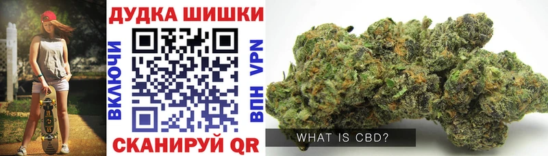 Бошки Шишки THC 21%  наркошоп  Болотное 